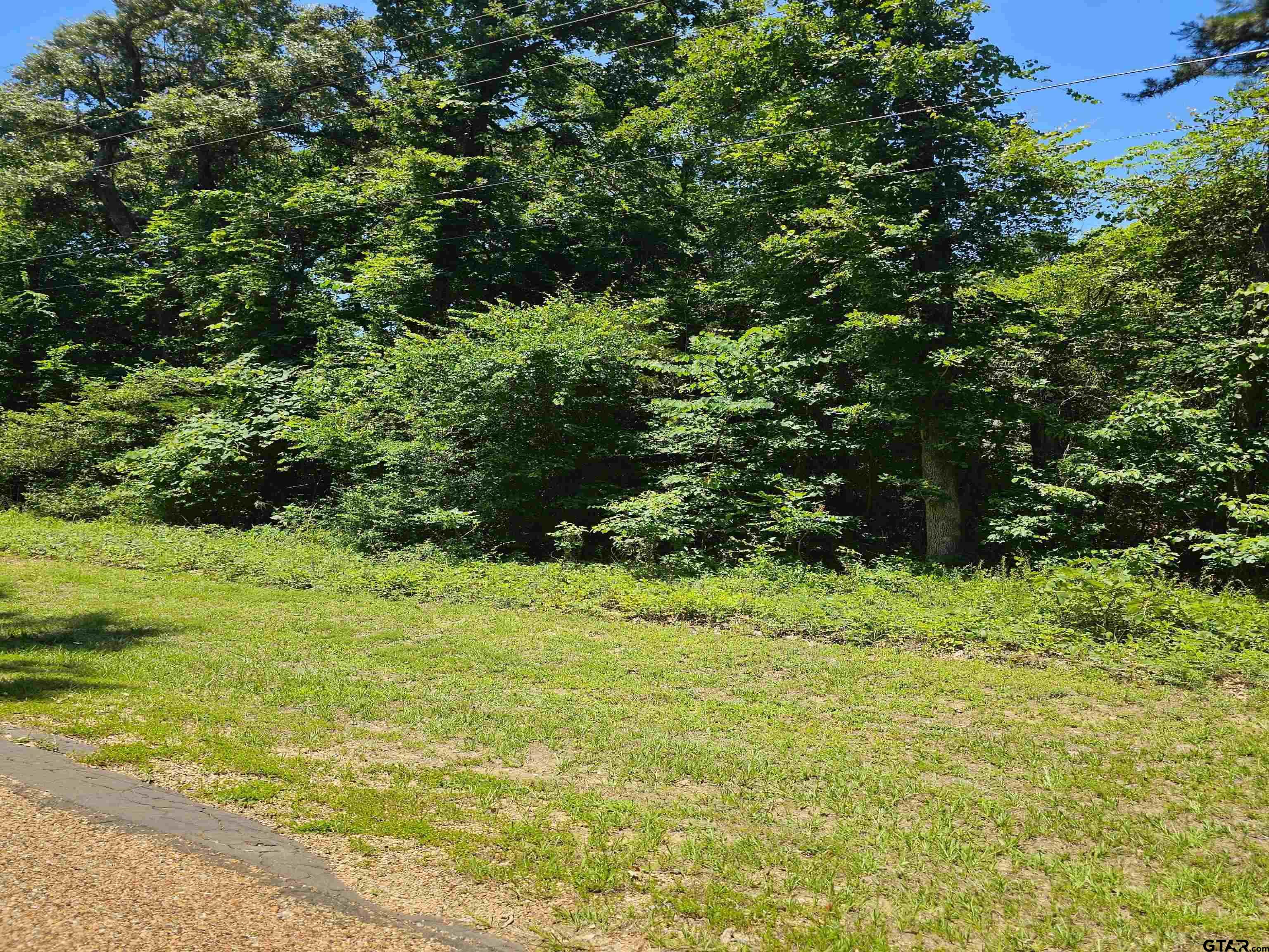 Land in Bullard