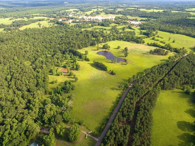 Bird's eye view of a nearby body of water and a forest | Image 4