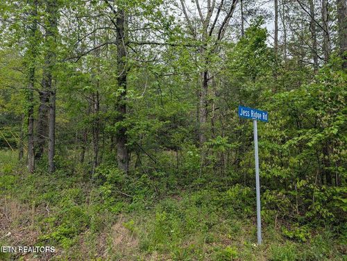 158 Jess Ridge Rd, Lancing, TN, 37770 | Card Image