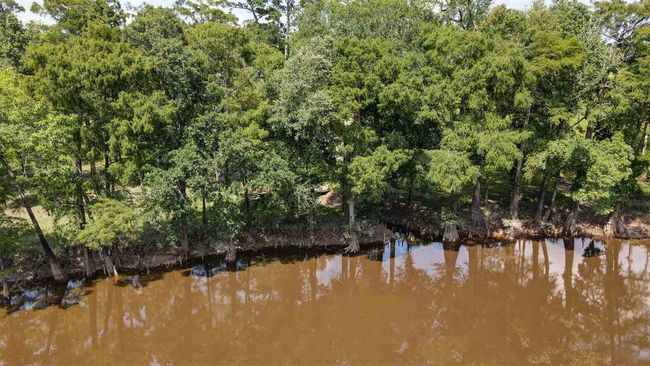 000 Highway 96 Byp, Home with 0 bedrooms, 0 bathrooms and null parking in Silsbee TX | Image 7