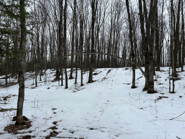 743 Woodlawn Rd, House other with 2 bedrooms, 1 bathrooms and null parking in Pickerel WI | Image 56
