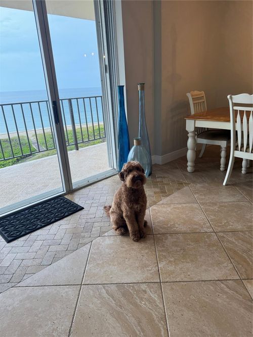 apt-5f-1900 S Ocean Blvd, Pompano Beach, FL, 33062-8027 | Card Image