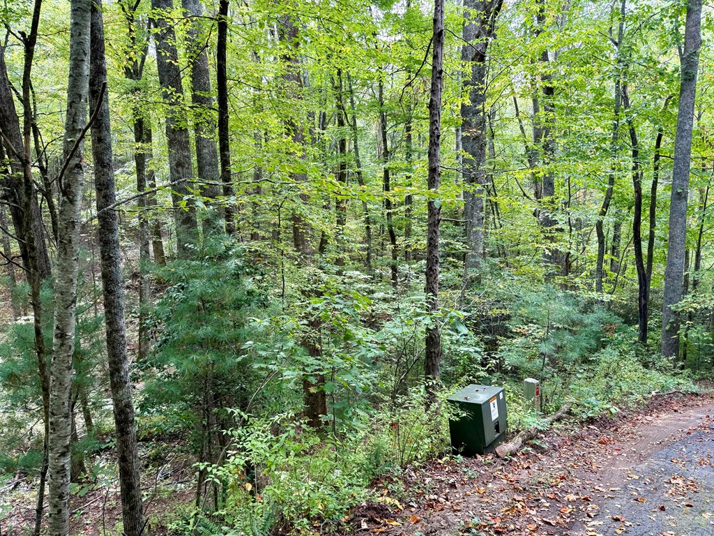 Land in Tuckasegee 4