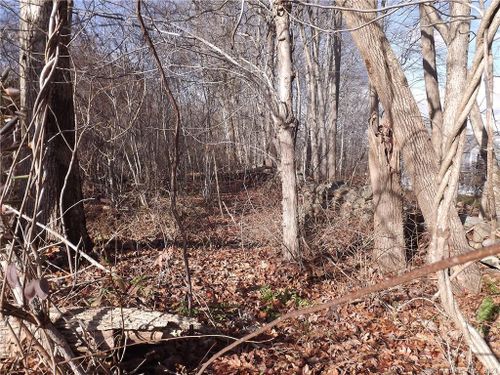 2 Vacant Land Map 59 Lot #02 41 Bushy Hill, Essex, CT, 06442 | Card Image
