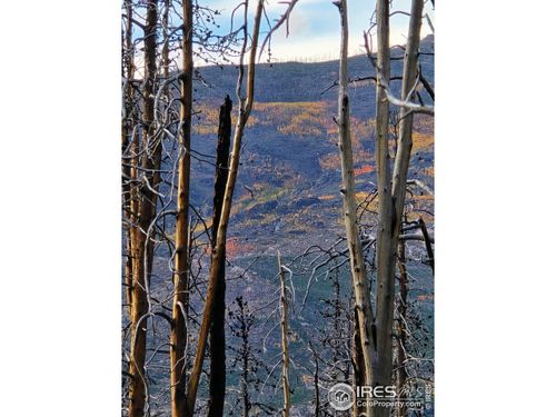 75 Sheep Horn Ct, Bellvue, CO, 80512 | Card Image