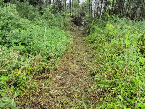 16-1394 1 Rd, Kurtistown, HI, 96760 | Card Image