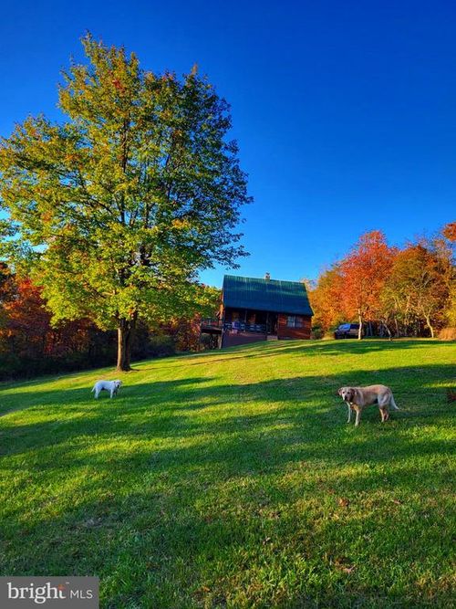 313 Wright Rdg, RIO, WV, 26755 | Card Image