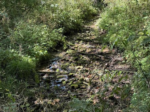 Lot 10 Murphy Rd, MINERAL POINT, WI, 53565 | Card Image