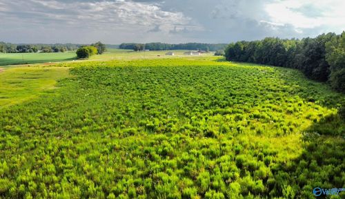 26 Acres Piney Chapel Rd, Athens, AL, 35614 | Card Image