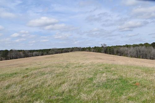 8461 Fm 19, Palestine, TX, 75803-0740 | Card Image