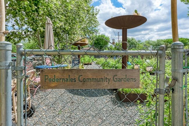Community Garden | Image 27