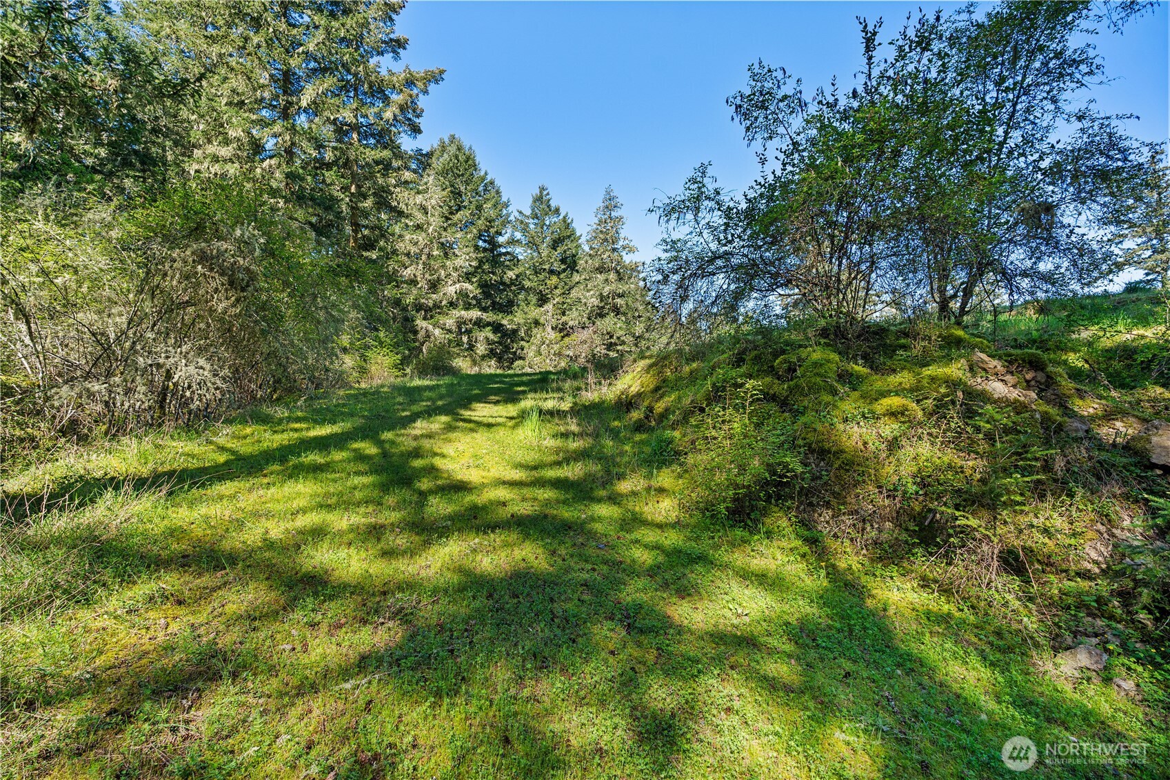Land in Friday Harbor 5
