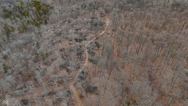 5900 S County Road 700 E, Home with 0 bedrooms, 0 bathrooms and null parking in Dillsboro IN | Image 28