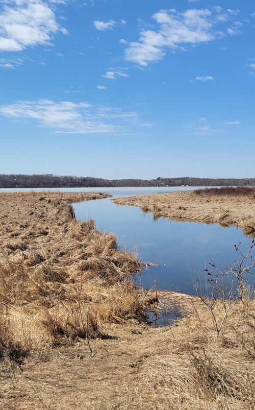512xx Leaf River Road Tract A, Ottertail, MN, 56571 | Card Image