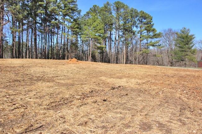 Lot 80 &amp; 81 Cherokee Road, Home with 0 bedrooms, 0 bathrooms and null parking in Lucas KY | Image 8