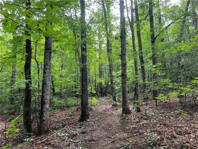 0 N Old Pendleton Rd, Home with 0 bedrooms, 0 bathrooms and null parking in Easley SC | Image 11