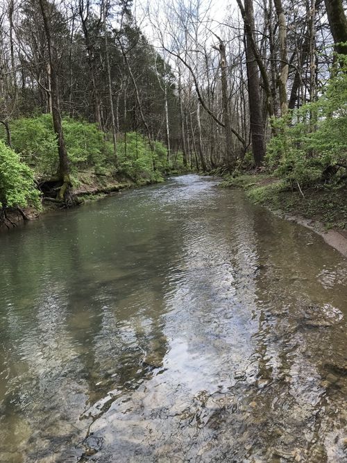 2390 Benders Ferry Rd, Mount Juliet, TN, 37122-5403 | Card Image