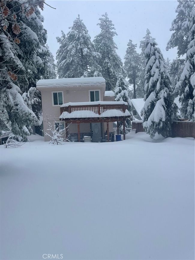 Let it snow | Image 14