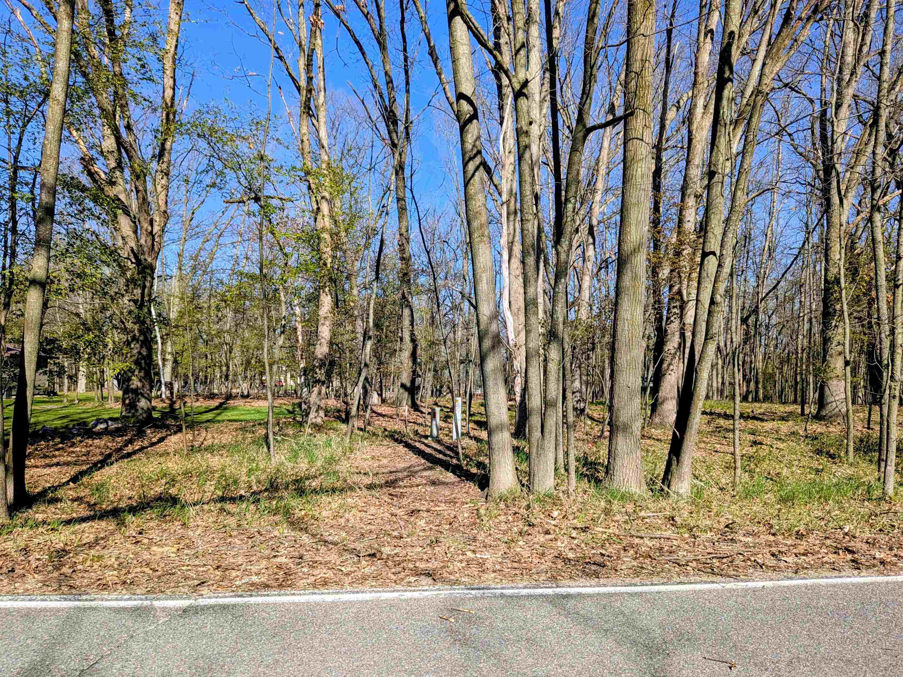 1050 Bundy Dr, Weidman, MI 48893
