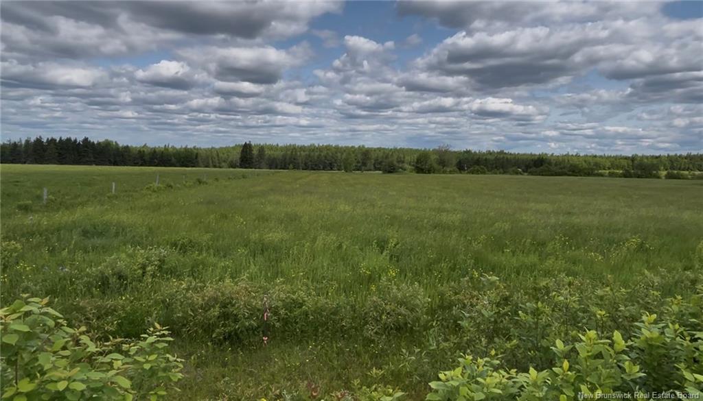 Land in Steeves Mountain 5