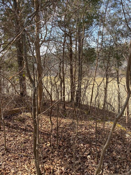 Lot 1 North Fork Road, Burnside, KY, 42519 | Card Image