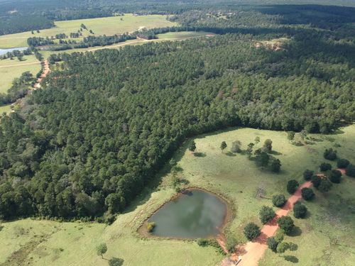 TBD Lakeland Ranch Lot 278, Hillister, TX, 77624-9999 | Card Image