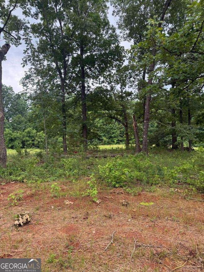 LOT 2 Harvest Way, Home with 0 bedrooms, 0 bathrooms and null parking in Cumming GA | Image 5