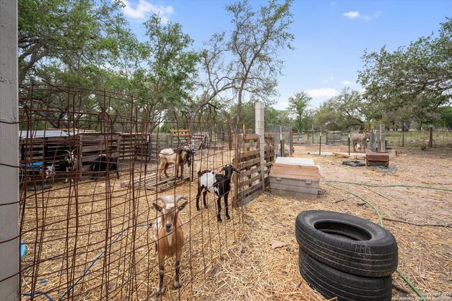 157 County Road 6816, House other with 4 bedrooms, 2 bathrooms and null parking in Natalia TX | Image 27