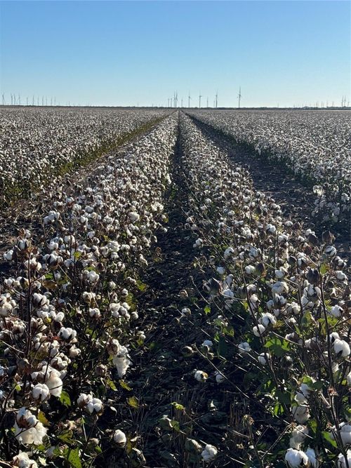 00 County Road 164, Weinert, TX, 76388 | Card Image