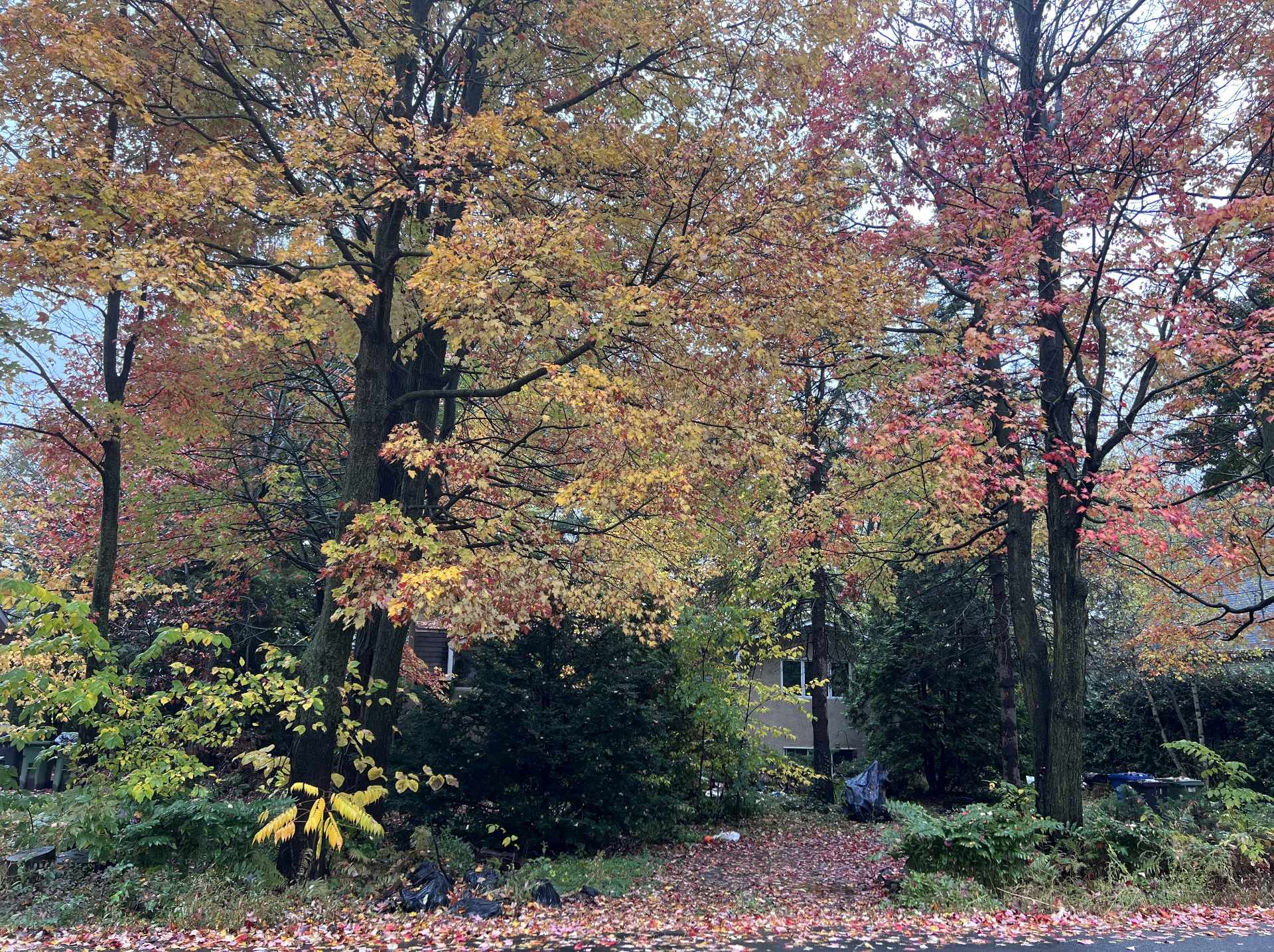 Residential in Otterburn Park 4