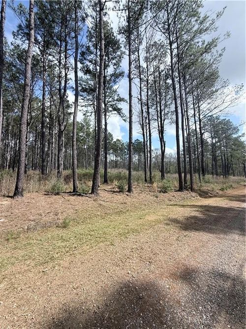 M-3 Hidden Hills Drive, Franklinton, LA, 70438 | Card Image