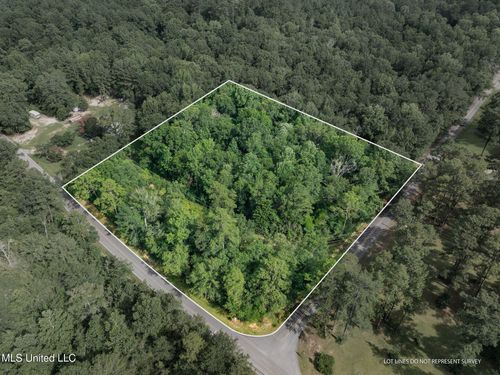 Lot 1 Beverly Hills Loop, Petal, MS, 39465-9345 | Card Image