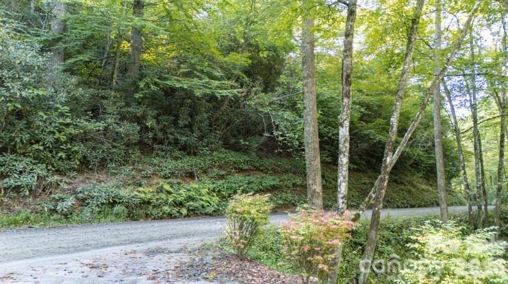 Land in Spruce Pine 3