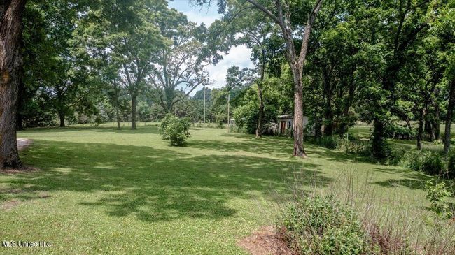 35-side yard | Image 33