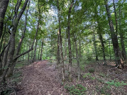 0 Tallapoosa Farm Rd, Camp Hill, AL, 36850 | Card Image