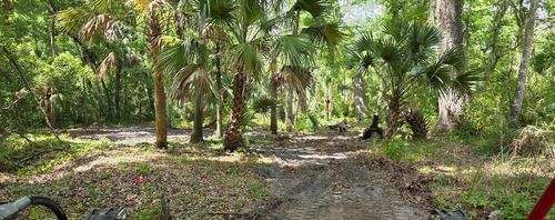0 Paul S Buchman Hwy, ZEPHYRHILLS, FL, 33540 | Card Image