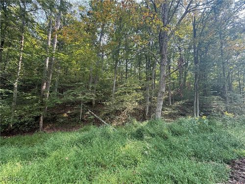 0 Buck Run, Pennsboro, WV, 26415 | Card Image