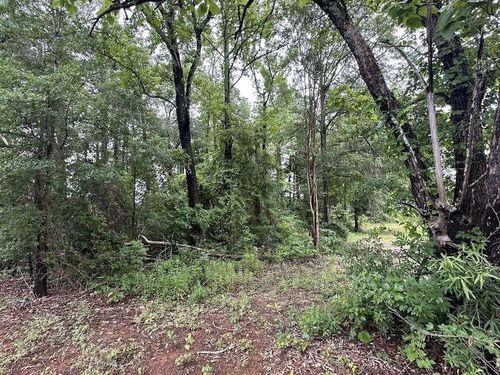 0 W Meredith Street, Marshall, TX, 75670 | Card Image