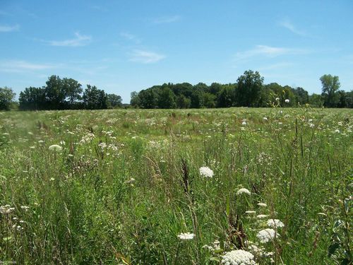 Lot C Calvin Rd, Memphis, MI, 48041 | Card Image