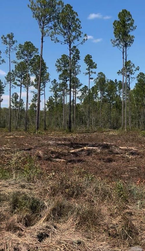 14 Acres E Main St, Lakeland, GA, 31635 | Card Image