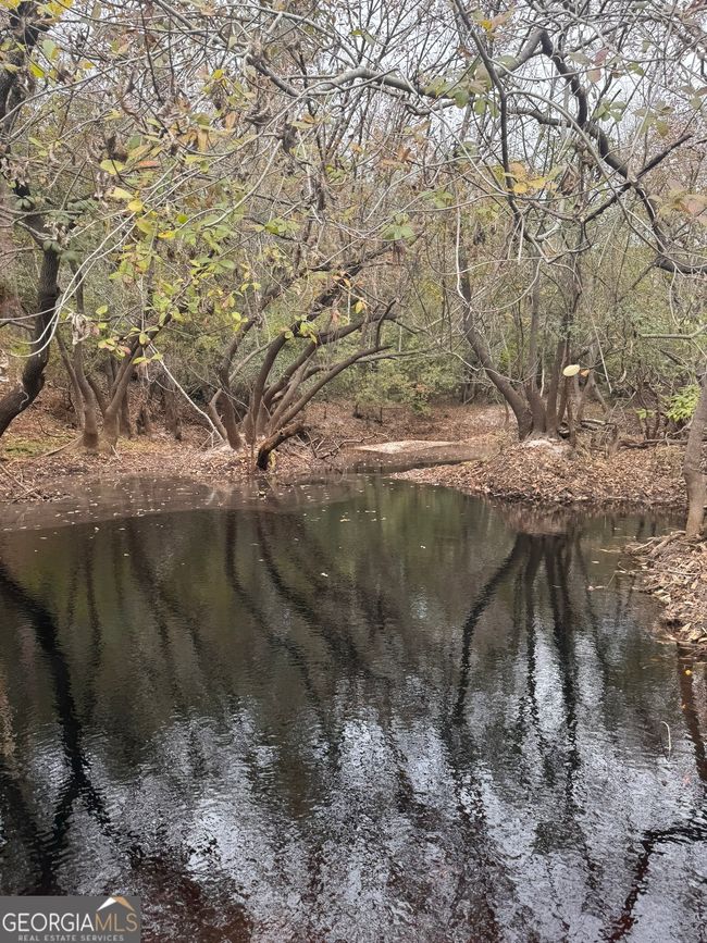 0 Highway 185, Home with 0 bedrooms, 0 bathrooms and null parking in Saint George GA | Image 53