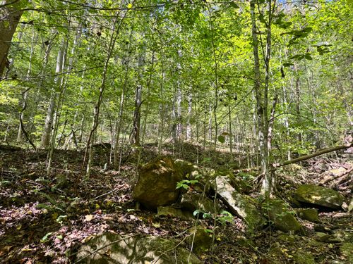 9950 Hector Rd, Manchester, KY, 40962 | Card Image