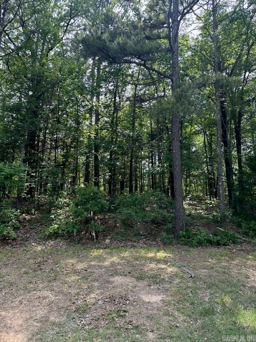 Lot 61 Cedar Valley Rd, Fairfield Bay, AR, 72088-2609 | Card Image