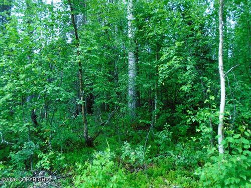 20026 E Deep Woods Way, Willow, AK, 99688 | Card Image