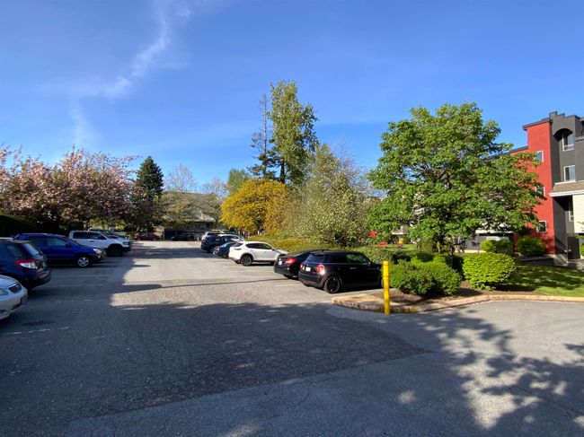 208 - 5700 200 Street, Condo with 1 bedrooms, 1 bathrooms and 1 parking in Langley BC | Image 31