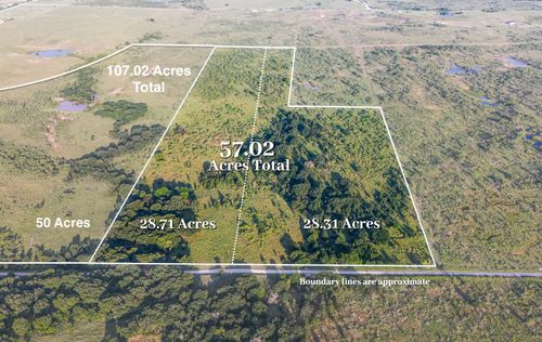 TBD Tract 6 50 Acres Boren Road, Ringgold, TX, 76261 | Card Image