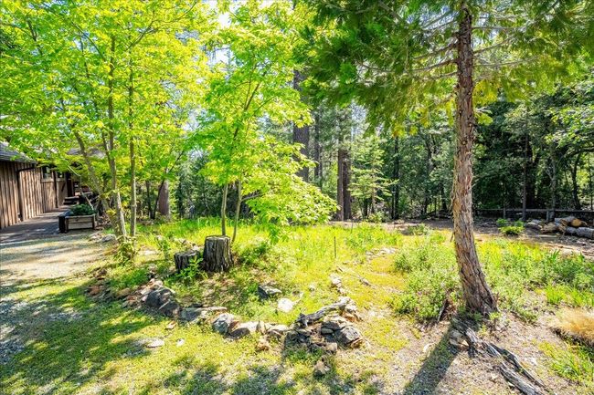 Many mature plantings around property | Image 82