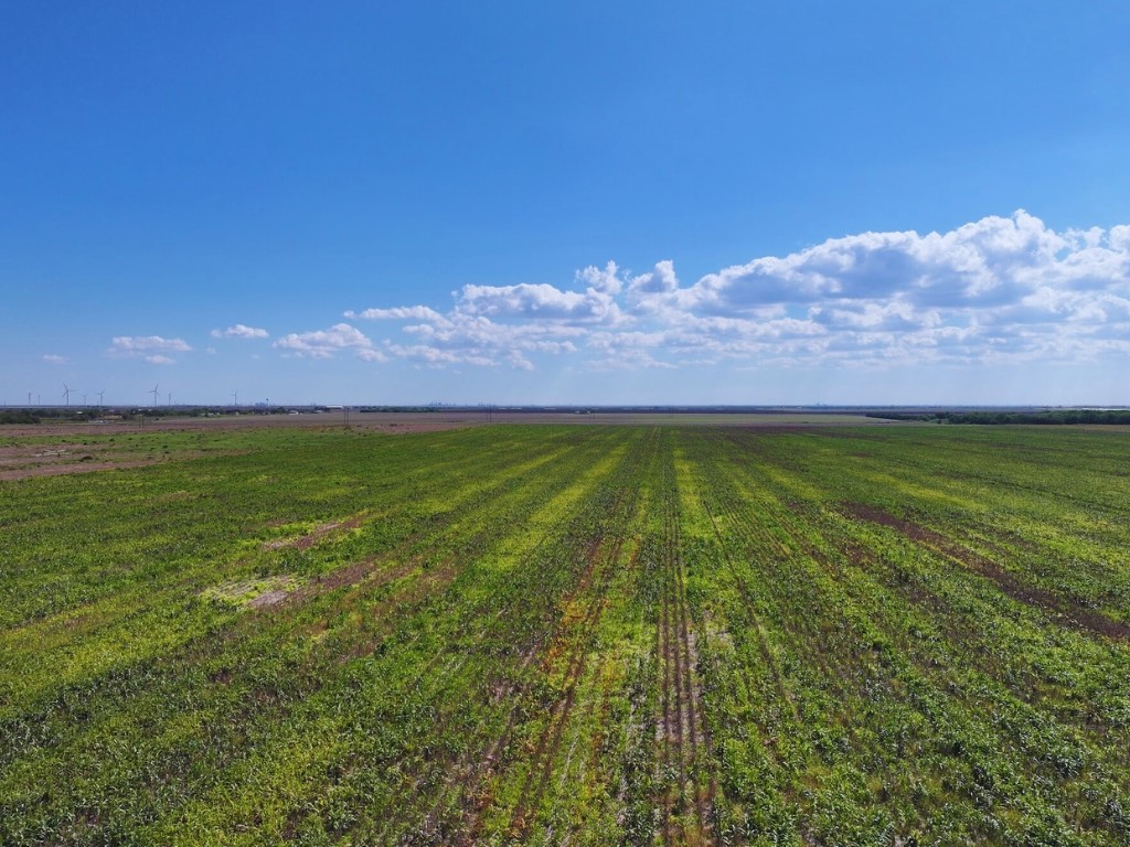 Land in Odem 4