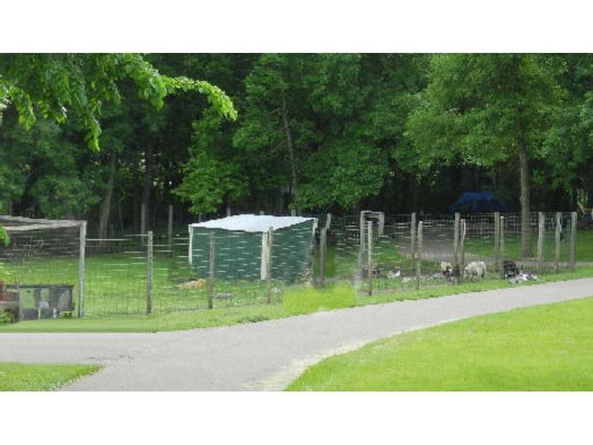 Fun at the animal park | Image 7