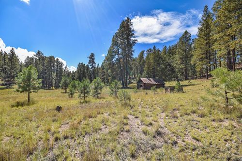 27.5 Acres Jemez Mountain Forest Rd 10, Jemez Springs, NM, 87025 | Card Image